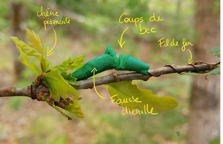 INRA écoliers