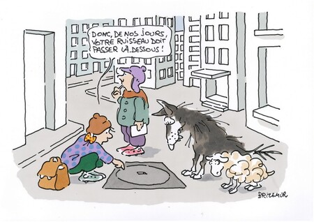 éducation à l'environnement