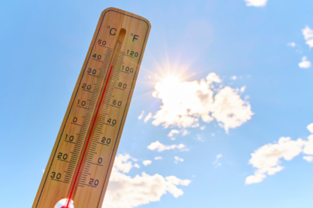 Canicule