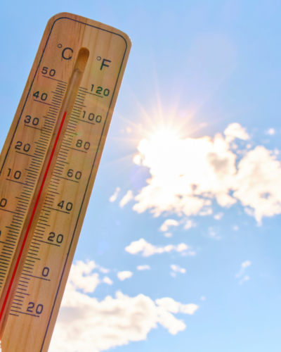 Canicule