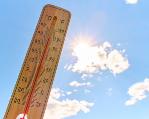 Canicule
