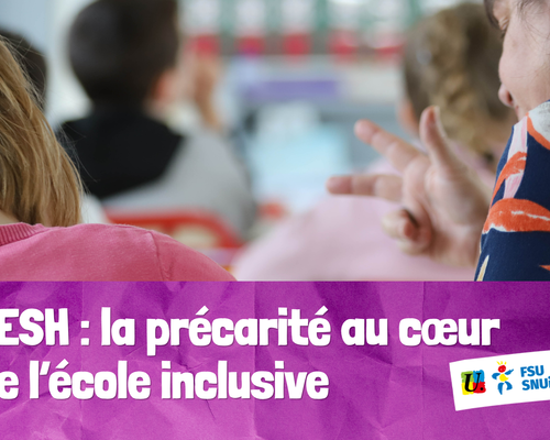 Aesh%20%20la%20pr%c3%a9carit%c3%a9%20au%20c%c5%93ur%20de%20l%e2%80%99%c3%a9cole%20inclusive